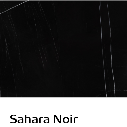 SAHARA NOIR UP 24X48 R